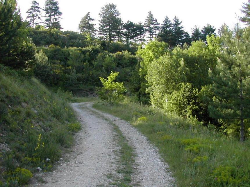 Les chemin d'Avene