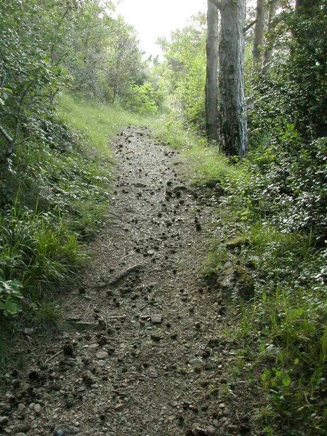 les sentiers d'Avene