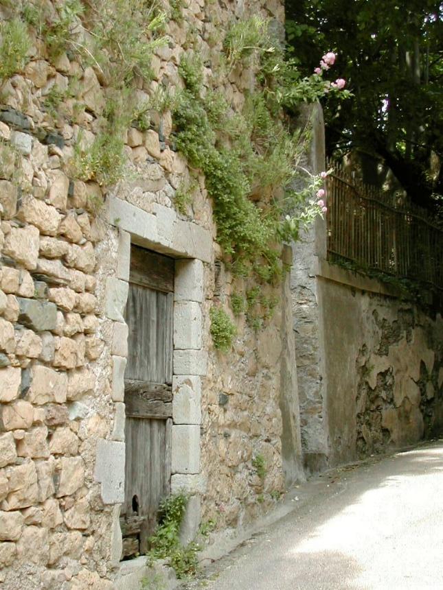 Vieux mur Avene